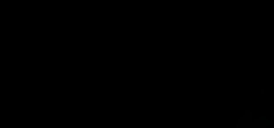 The RN Jourmal
